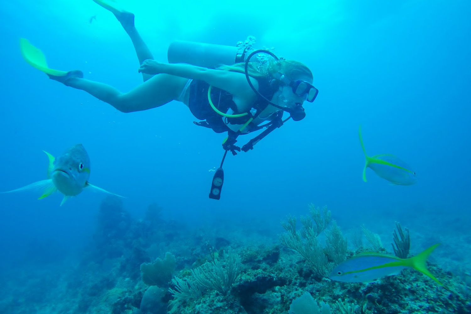 Tropical Scuba Diving