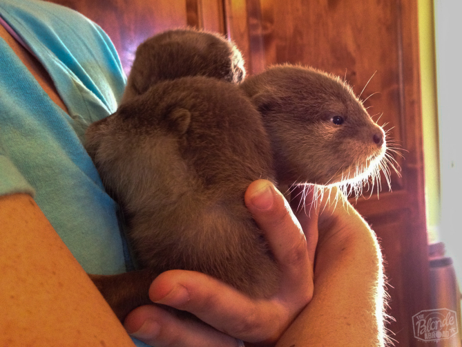 Wittle whiskers!
