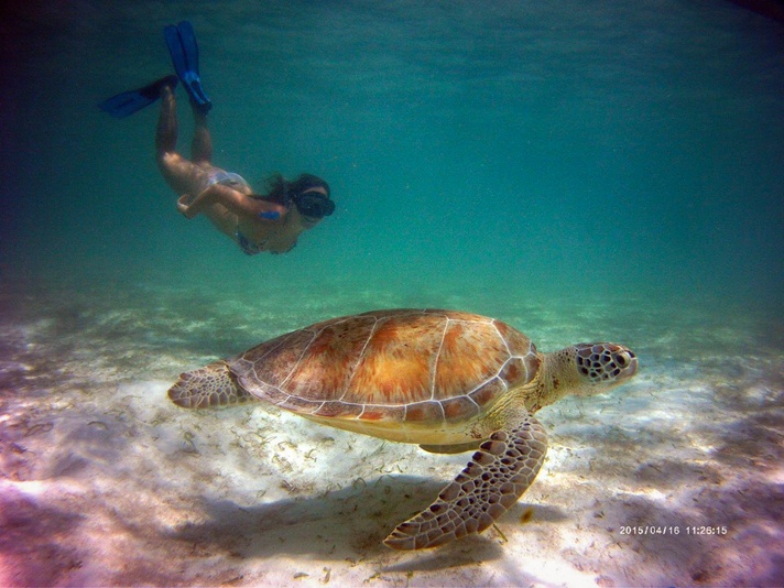 Diving in the Caribbean