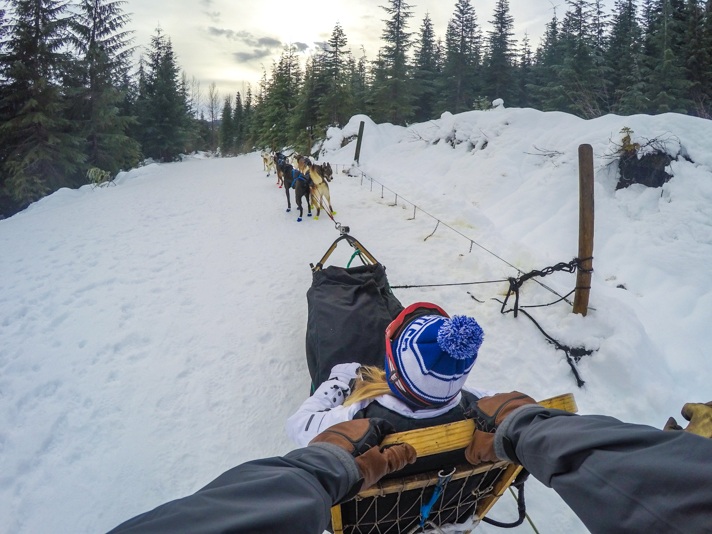 Dog Sledding Whistler