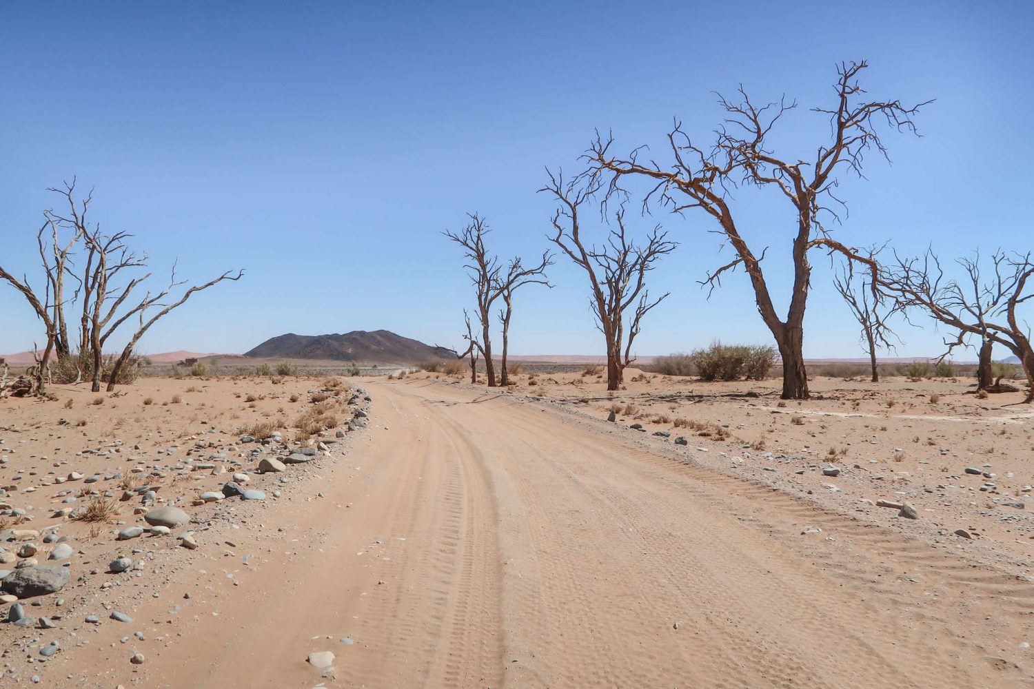 Offroading Namibia