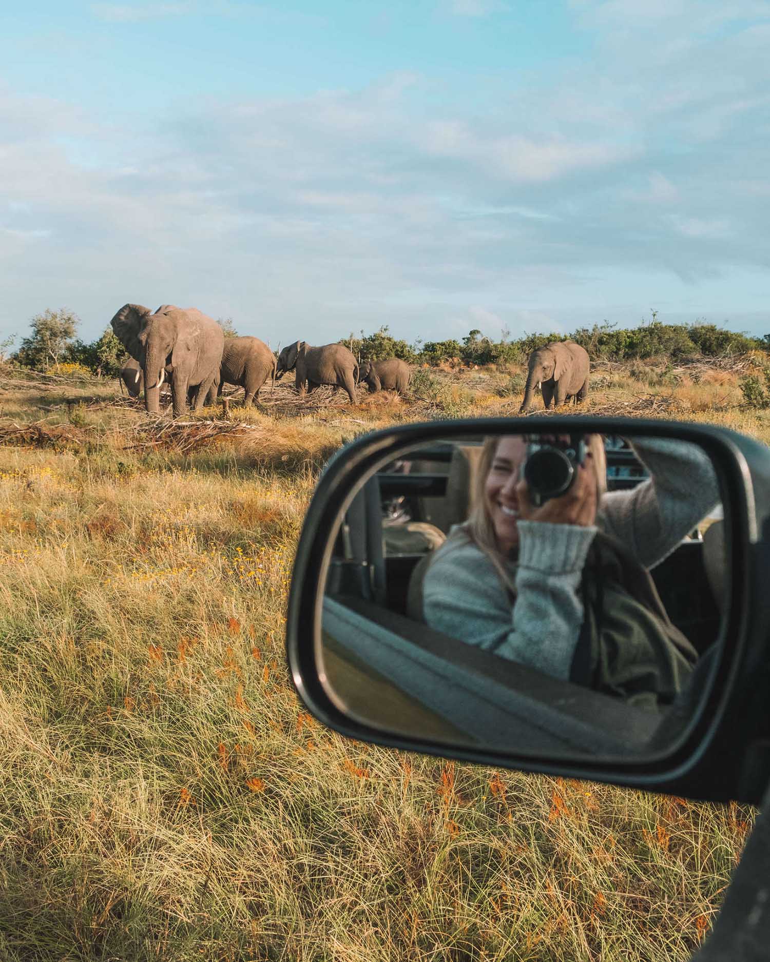 safari destination africa