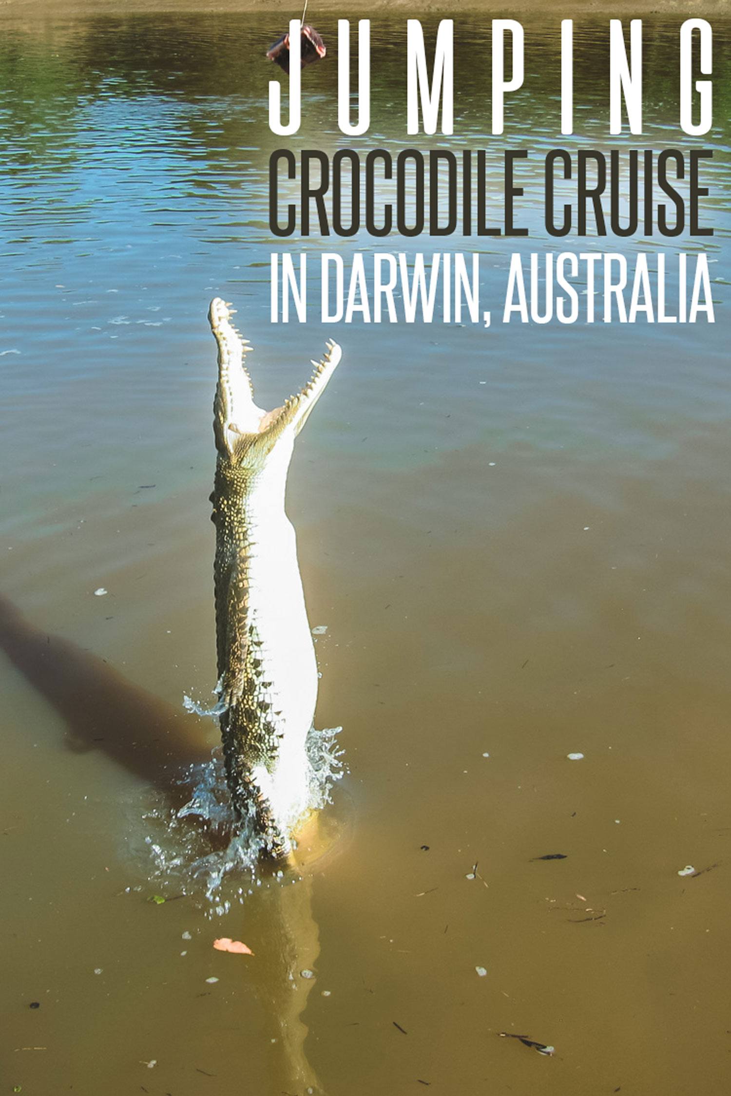 Jumping Crocodile Cruise in Darwin, Australia