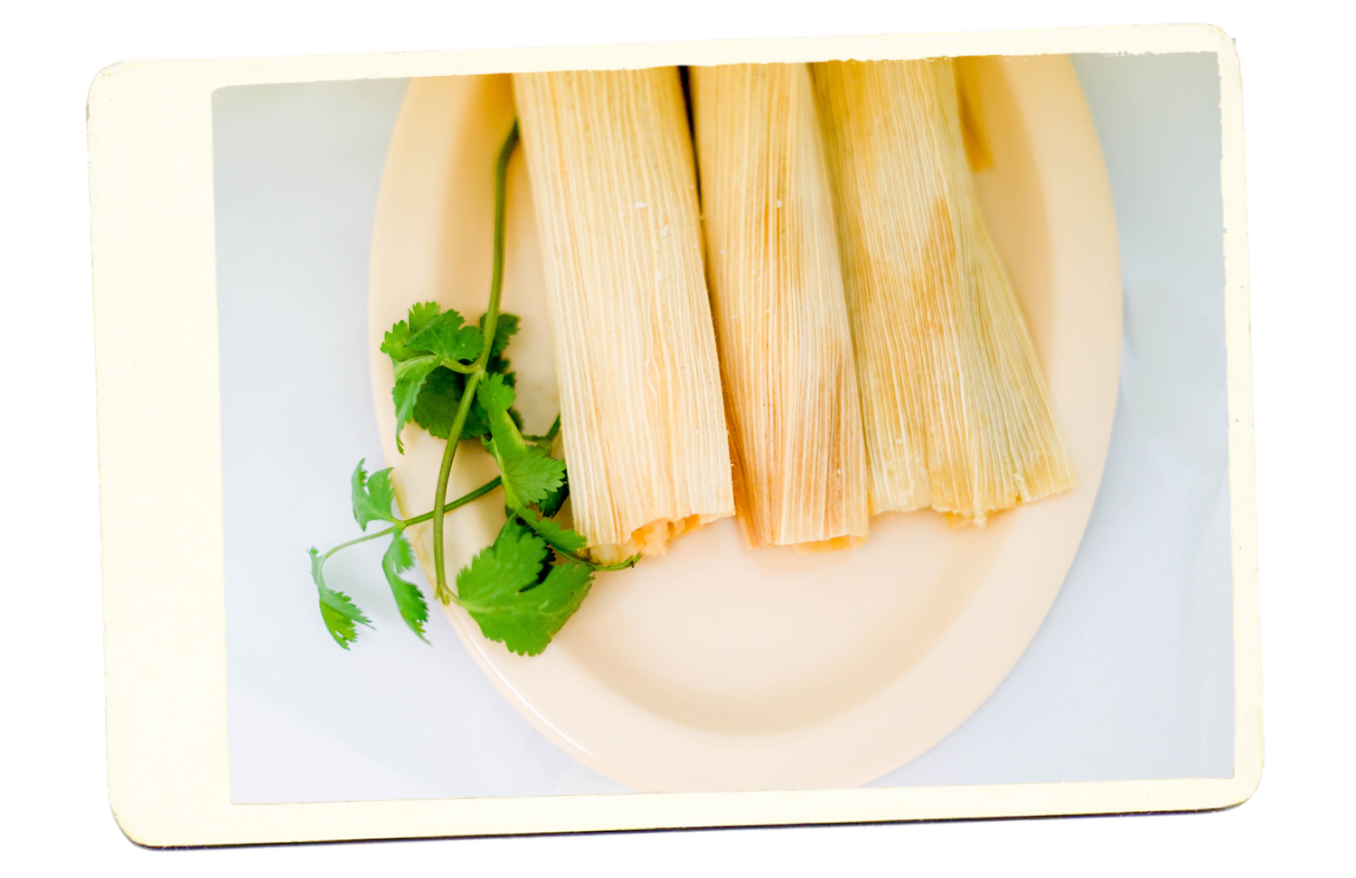 tamales