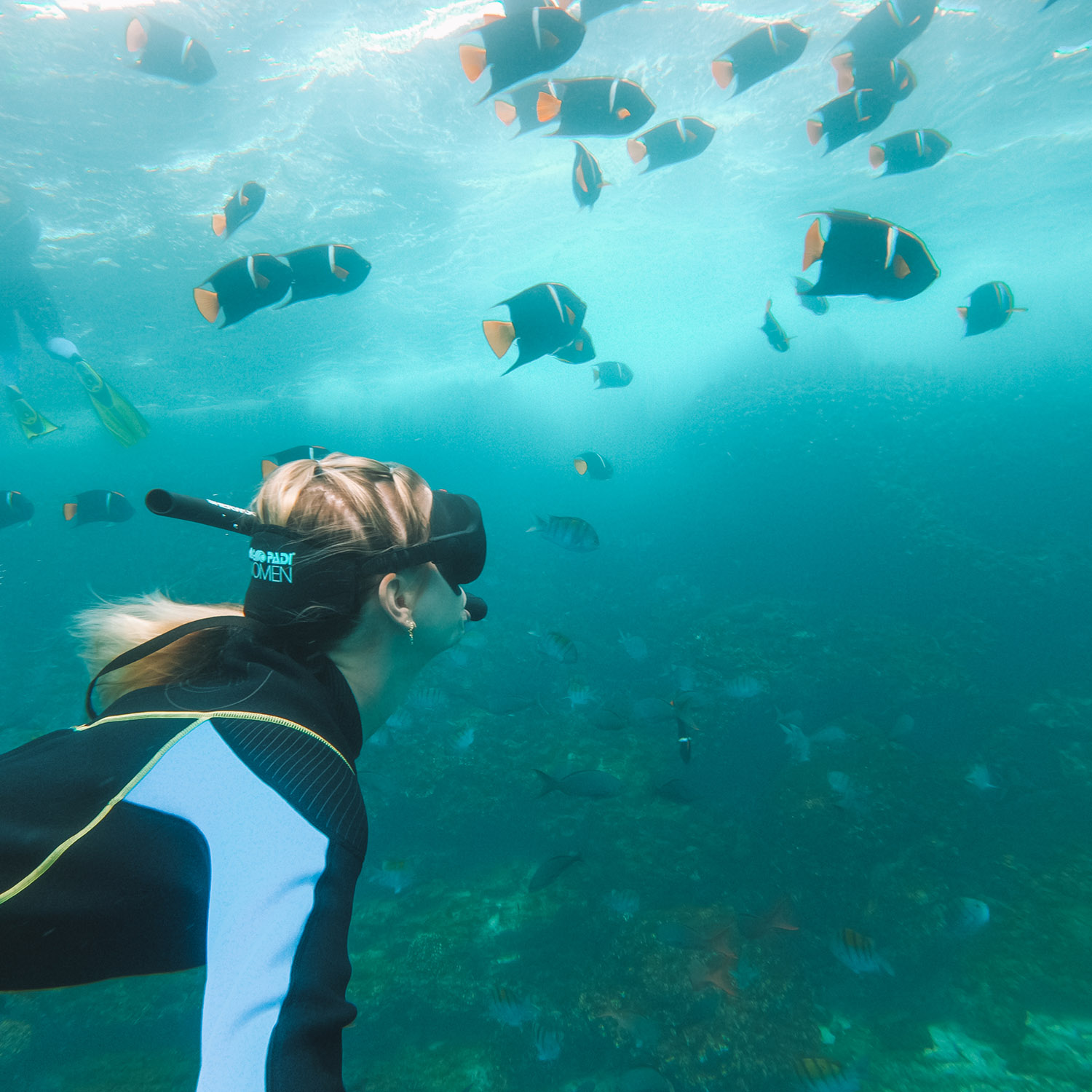 snorkeling galapagos