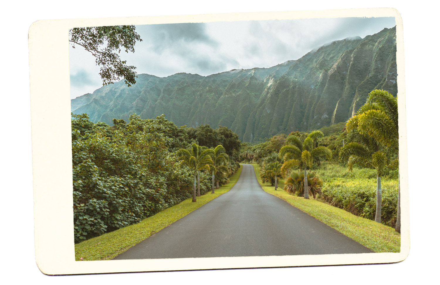 Hawaii