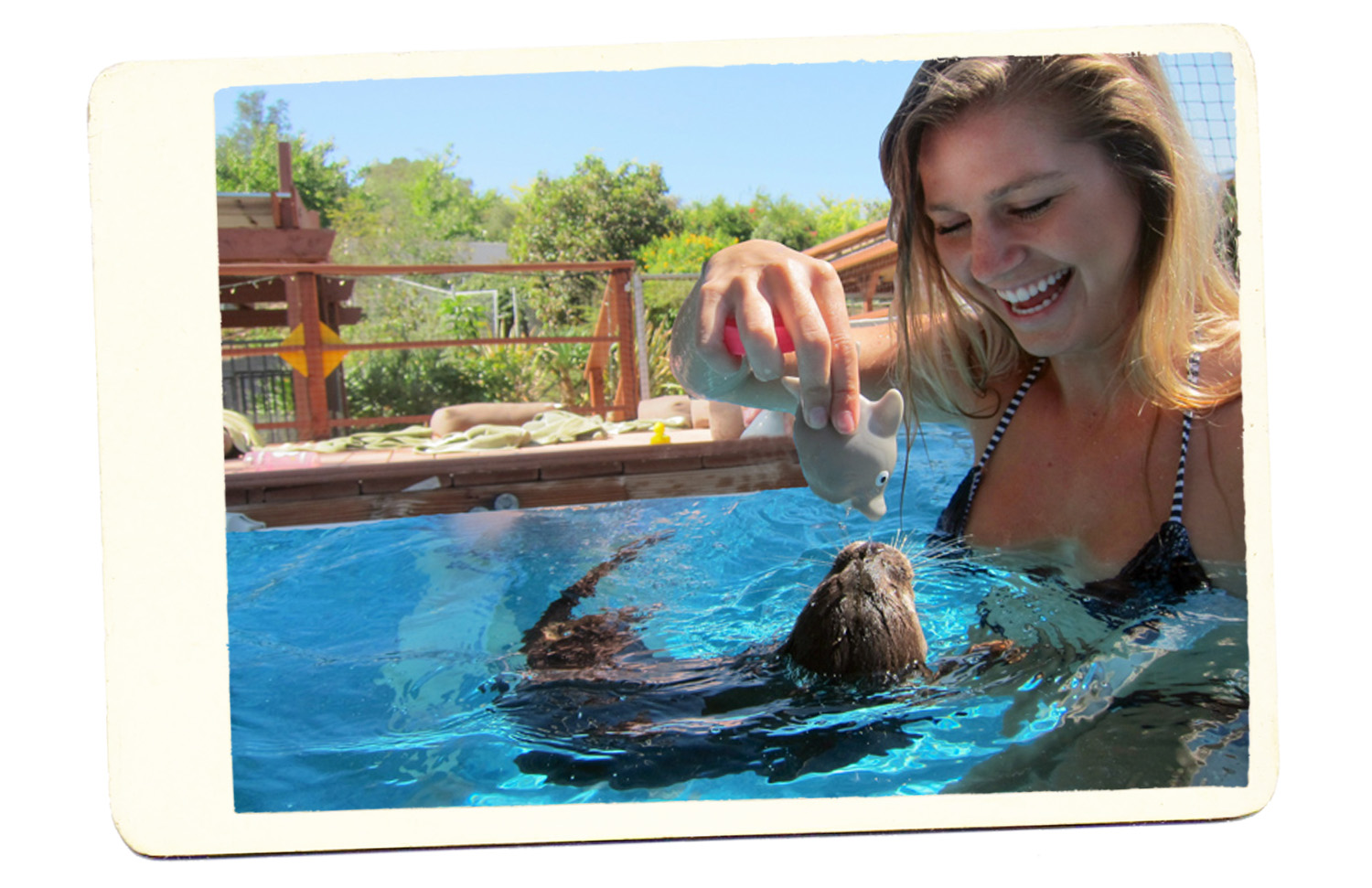 otter volunteer