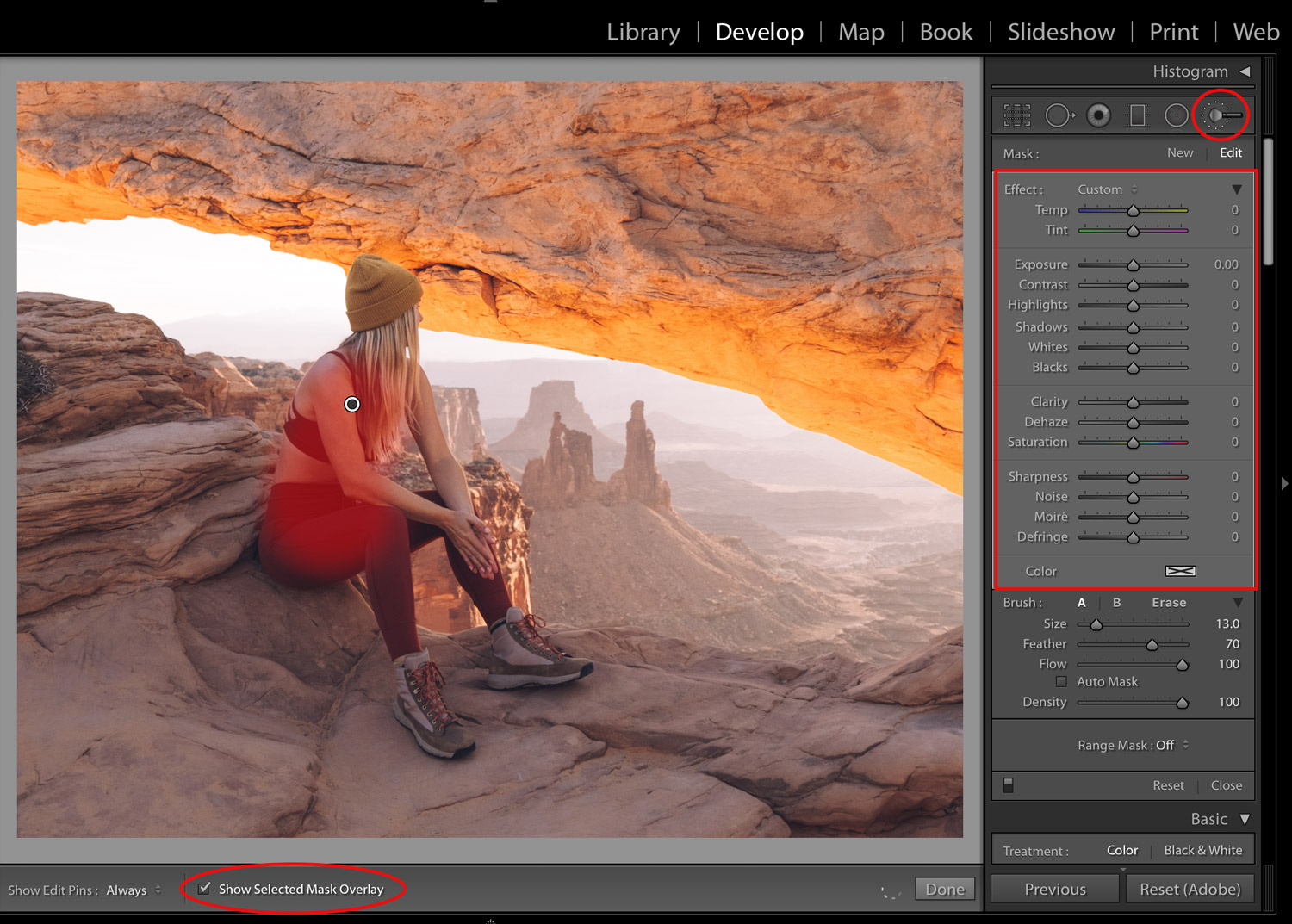 Lightroom Brush Tool